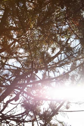 Immagine: estate in Val Gardena